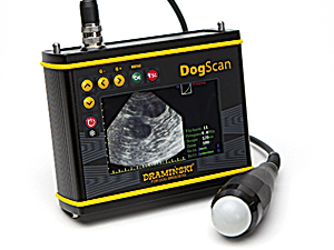 L’échographe portable et léger pour le diagnostic de la gestation rapide chez les petits animaux