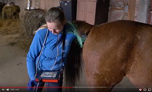iScan 2 – échographe pratique et précis pour le diagnostic des chevaux