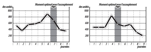 Exemple Resultats