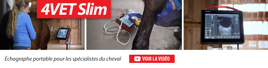 4VET Slim Échographe portable pour les spécialistes du cheval